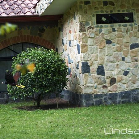 Gingerbread Restaurant & Hotel Nuevo Arenal Exteriér fotografie